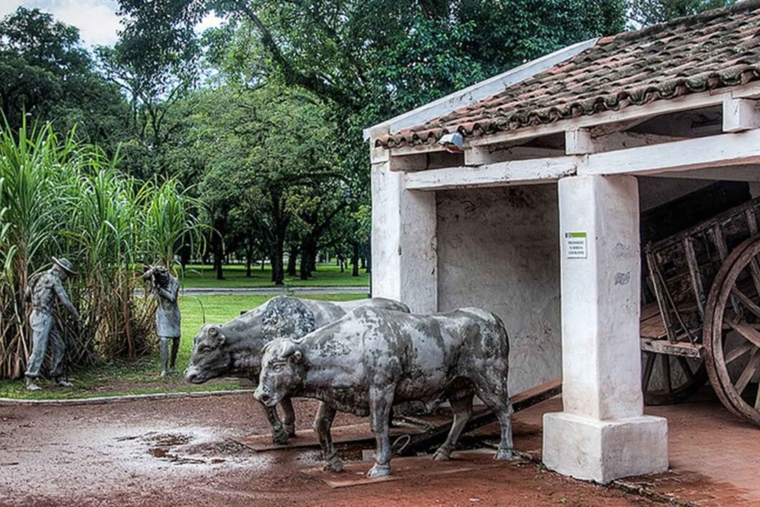 Cali: farma trzciny cukrowej i jednodniowa wycieczka do hacjendy El Paraiso