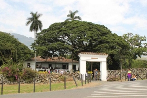 Cali: farma trzciny cukrowej i jednodniowa wycieczka do hacjendy El Paraiso