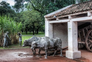 Cali: farma trzciny cukrowej i jednodniowa wycieczka do hacjendy El Paraiso