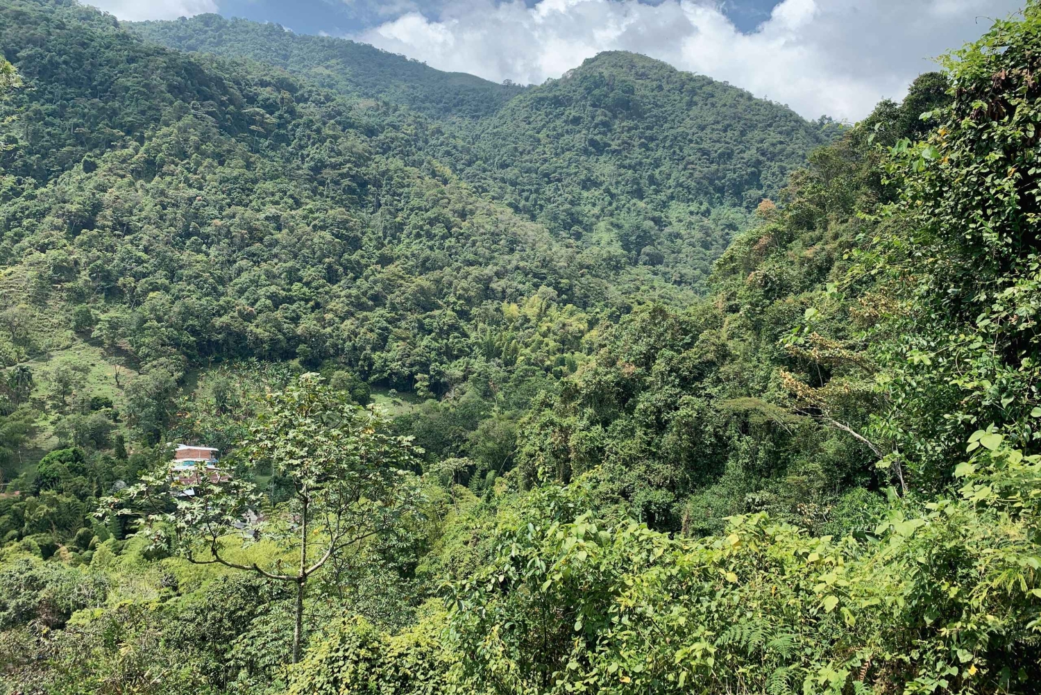 Cali: Tour della cascata del fiume Pance - Chorrera del Indio