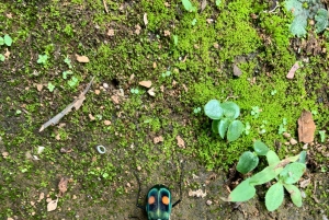 Cali: Tour della cascata del fiume Pance - Chorrera del Indio