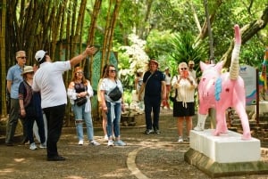 Cali: Walking tour of the historic center