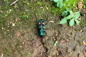 Cali : Visite de la cascade de la rivière Pance - Chorrera del Indio