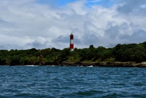 Cali: Whale Watching in the Colombian Pacific Coast