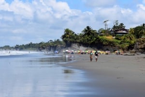 Cali: Whale Watching in the Colombian Pacific Coast