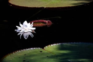 Ticket de Acceso Zoológico de Cali