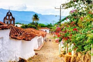 Camino Real: Barichara-Guane Trekking Tour + Paleontological Museum
