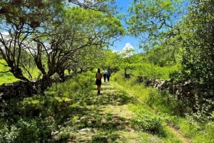 Camino Real: Barichara-Guane Trekking Tour + Paleontological Museum