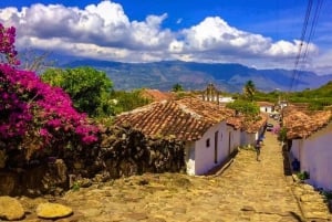 Camino Real: Barichara-Guane Trekking Tour + Paleontological Museum