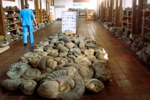 Camino Real: Barichara-Guane Trekking Tour + Paleontological Museum