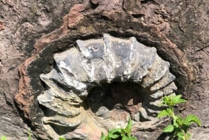 Camino Real: Barichara-Guane Trekking Tour + Paleontological Museum