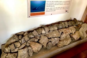 Camino Real: Barichara-Guane Trekking Tour + Paleontological Museum