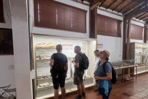 Camino Real: Barichara-Guane Trekking Tour + Paleontological Museum