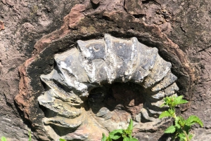 Camino Real: Barichara-Guane Trekking Tour + Paleontological Museum