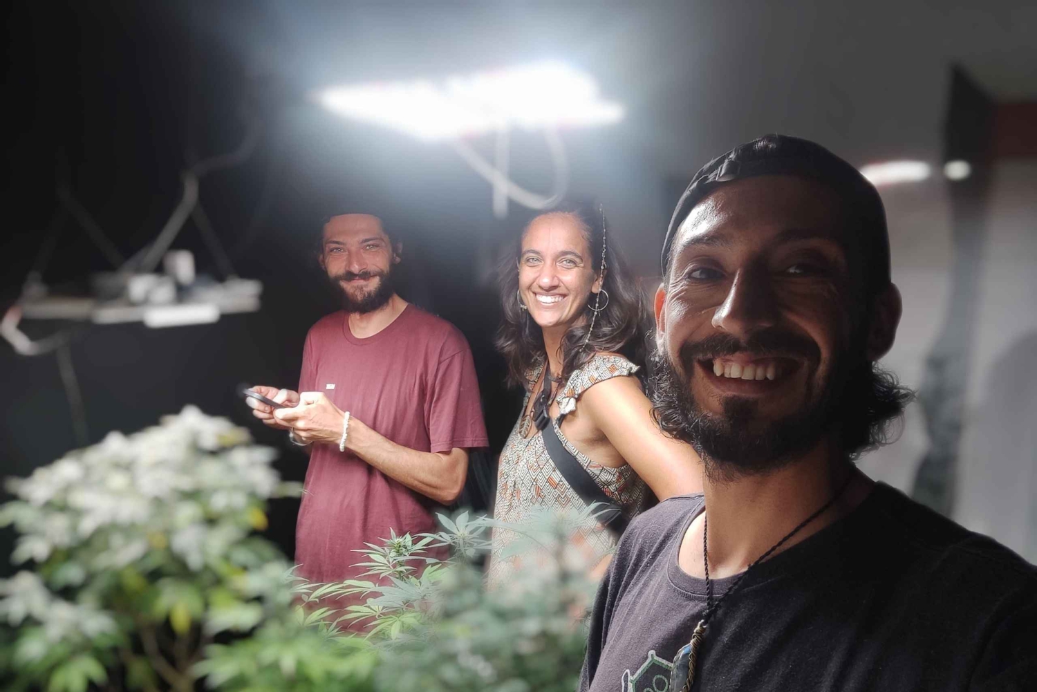 EXPÉRIENCE DU CANNABIS