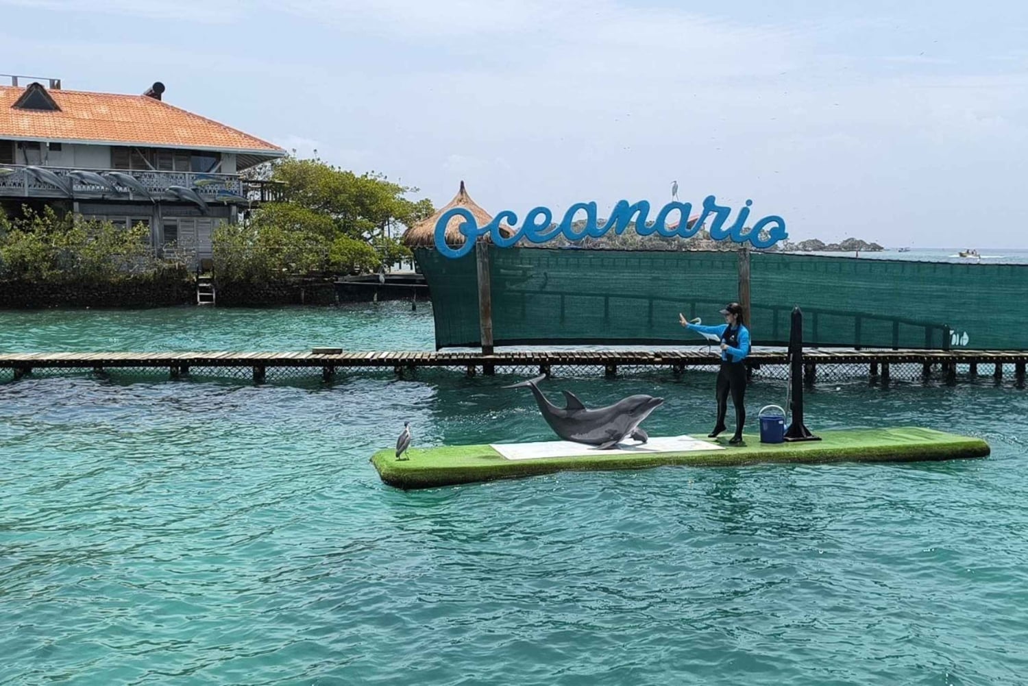 Karibian loma: Rosario-Barú-Oceanarium & Tierra Bomba