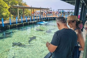 Karibian loma: Rosario-Barú-Oceanarium & Tierra Bomba
