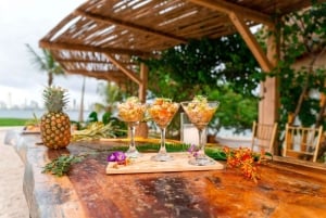 Karibian loma: Rosario-Barú-Oceanarium & Tierra Bomba