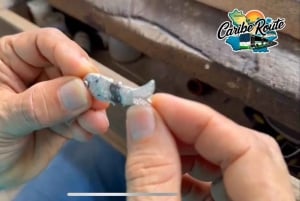 Маршруты Карибского Момпокса