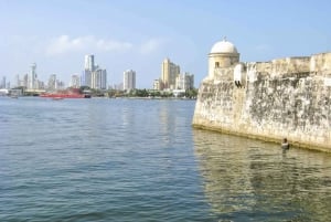 Cartagena: 1-Hour Paddleboard Rental or Private Lesson