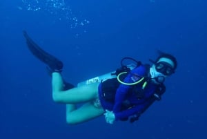 Cartagena: 2 Tanks Dive Plan For CERTIFIED DIVERS