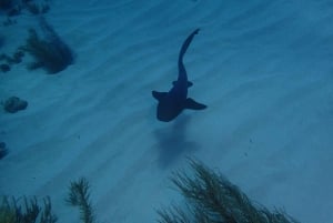 Cartagena: Plano de mergulho com 2 tanques para mergulhadores certificados