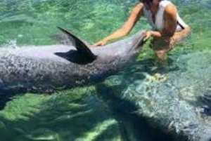 Cartagena: 3 exklusiva resmål på Rosarioöarna