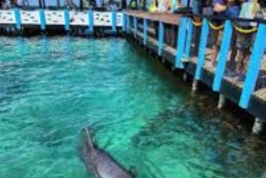 Cartagena: 3 exklusiva resmål på Rosarioöarna