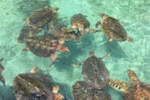 Cartagena: 3 exklusiva resmål på Rosarioöarna