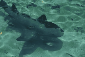 Cartagena: 3 exklusiva resmål på Rosarioöarna