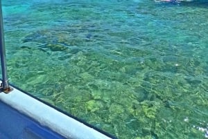 カルタヘナ：ボートで行く4島日帰り旅行とカリブ海ランチ