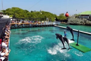 カルタヘナ：ボートで行く4島日帰り旅行とカリブ海ランチ