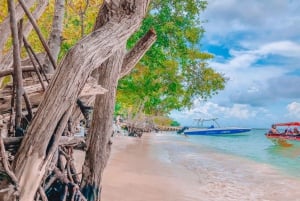 Carthagene : excursion de 4 îles + plancton + déjeuner