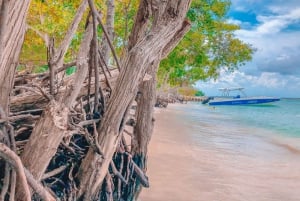 Carthagene : excursion de 4 îles + plancton + déjeuner