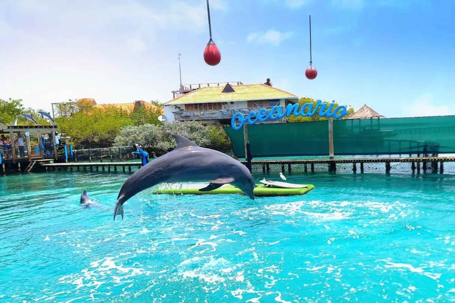 CARTAGENA: 4 øer med sportsbåd +billetter til oceanarium