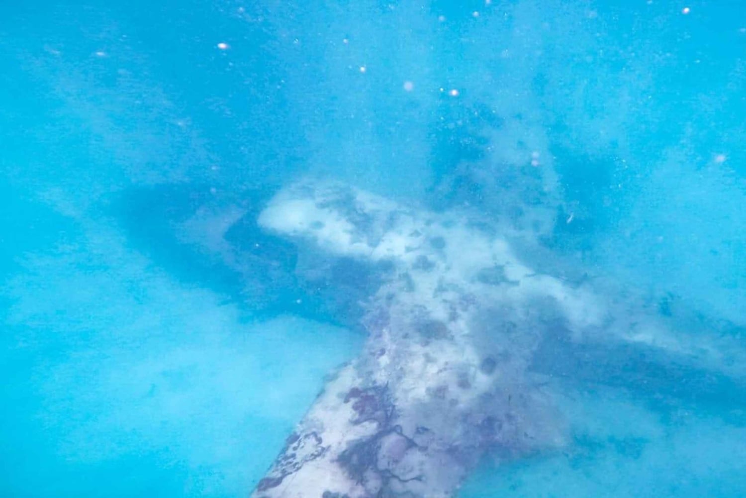 CARTAGENA: 4 øer med sportsbåd +billetter til oceanarium