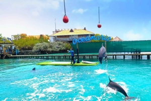 CARTAGENA: 4 øer med sportsbåd +billetter til oceanarium