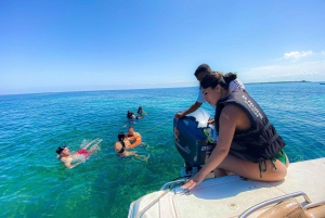 Cartagena: Excursión a las 5 Islas del Rosario con Snorkel y Almuerzo
