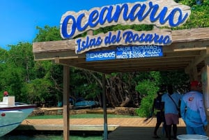 Cartagena: tour delle 5 isole del Rosario con snorkeling e pranzo