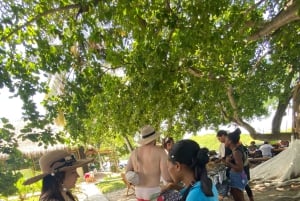 Cartagena: tour delle 5 isole del Rosario con snorkeling e pranzo