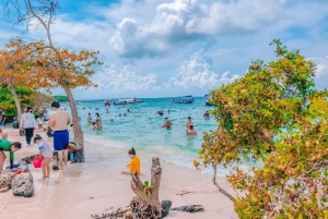 Cartagena: 5 Rosarioöarna med snorkling + plankton