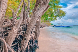 Cartagena: 5 Rosarioöarna med snorkling + plankton