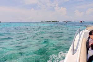 Cartagena: Tour VIP a las 5 Islas del Rosario con Plankton Plan