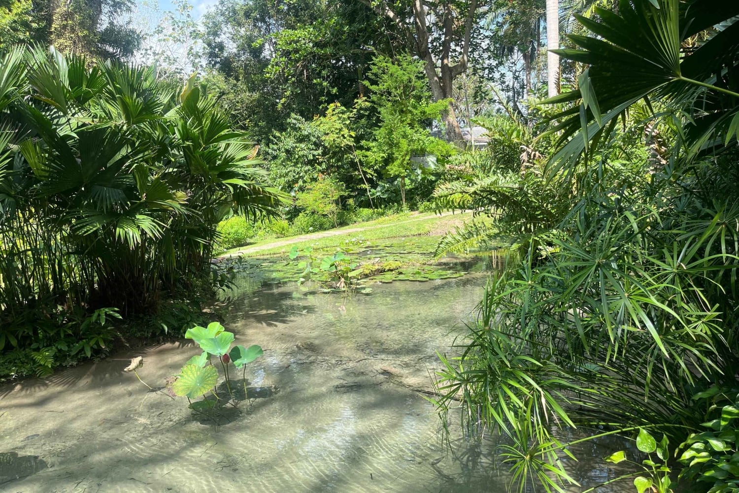 Cartagena: Eventyr i Turbaco og den botaniske have