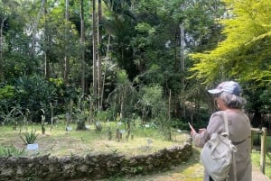 Cartagena: Eventyr i Turbaco og den botaniske have
