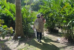 Cartagena: Eventyr i Turbaco og den botaniske have