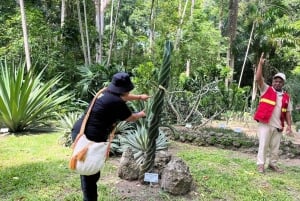 Cartagena: Eventyr i Turbaco og den botaniske have