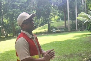 Cartagena: Eventyr i Turbaco og den botaniske have