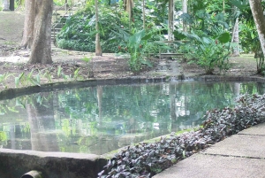 Cartagena: Eventyr i Turbaco og den botaniske have