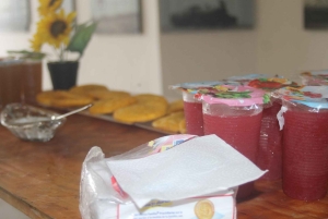 Cartagena: Eventyr i Turbaco og den botaniske have